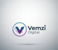 vemzidigital.site
